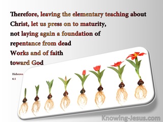 Hebrews 6:1 Leave The Elementary Teachings (white)